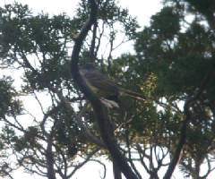 149_4993.jpg